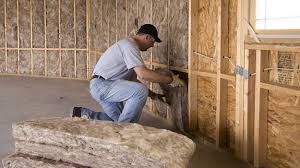 Best Radiant Barrier Insulation  in Newton, IA